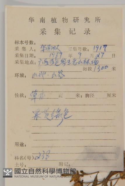 細川氏天名精藏品圖，第2張