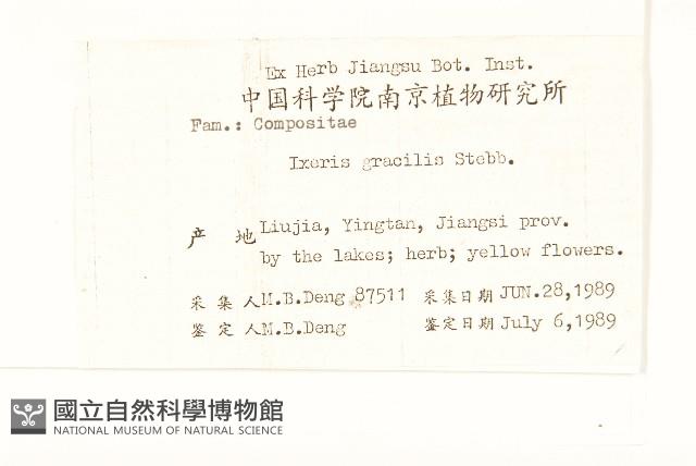 細葉苦實藏品圖，第2張