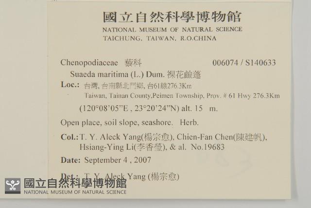 裸花鹼蓬藏品圖，第2張