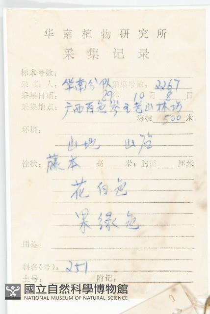 野牽牛藏品圖，第2張