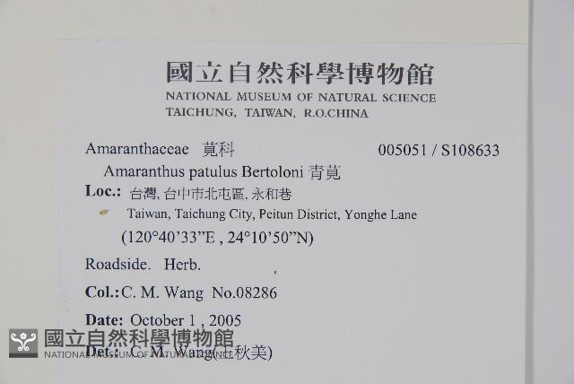 青莧藏品圖，第2張