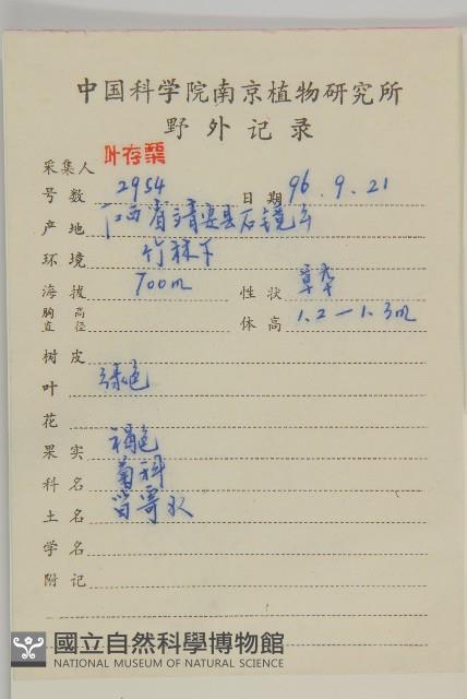 珍珠蒿、奇蒿藏品圖，第2張