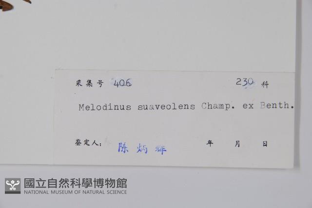 山橙藏品圖，第2張