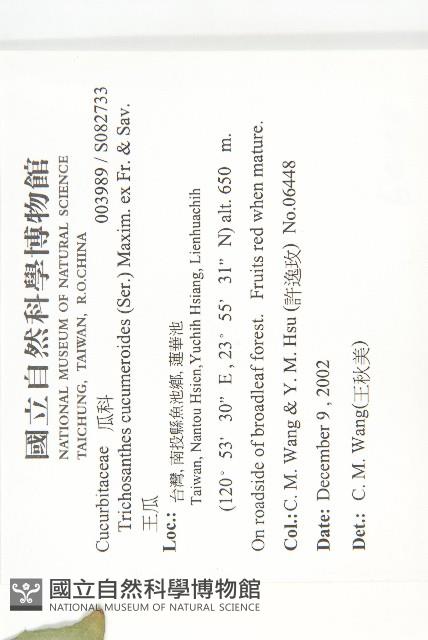 王瓜藏品圖，第2張