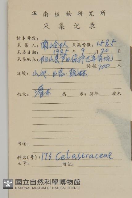 大丁黃藏品圖，第2張