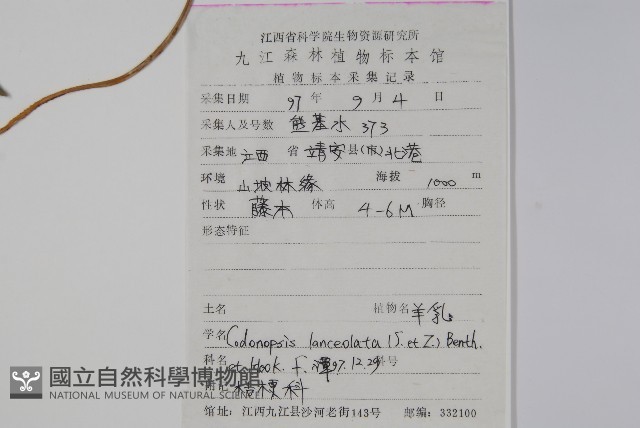羊乳、四葉參藏品圖，第2張
