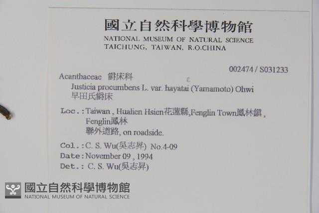 早田氏爵床藏品圖，第5張