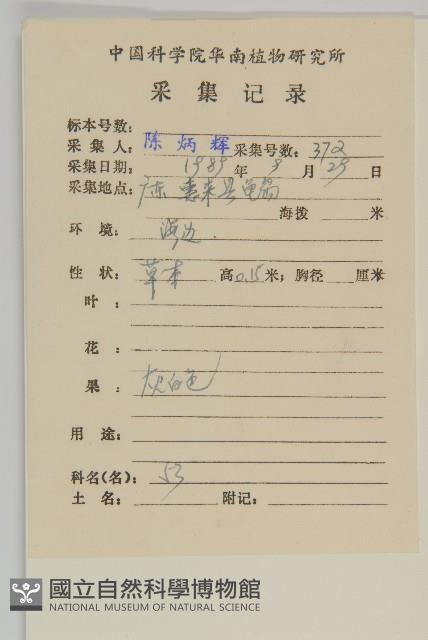 白鼓釘藏品圖，第2張