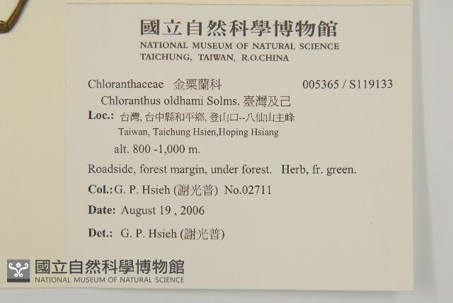 臺灣及己藏品圖，第2張