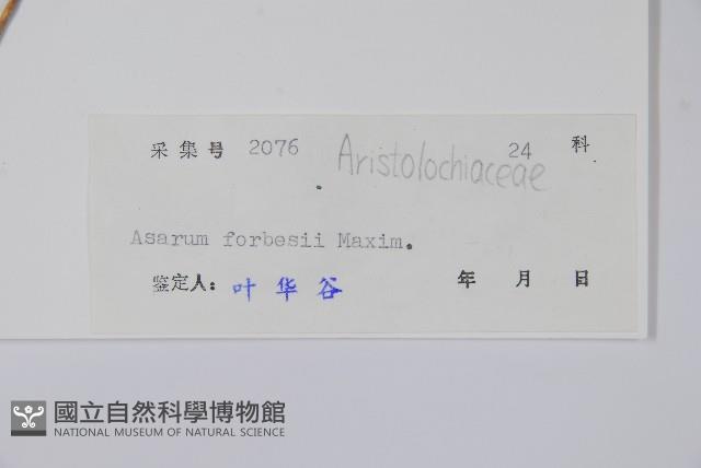 杜衡藏品圖，第2張