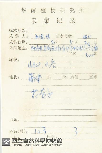 大苞赤瓟藏品圖，第2張