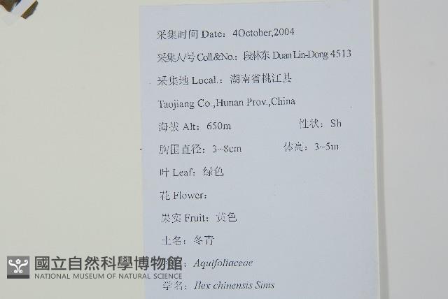 冬青藏品圖，第2張