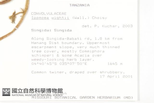 登錄號:S095833藏品圖，第2張