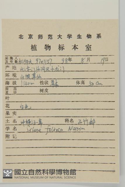 石縫蠅子草藏品圖，第2張