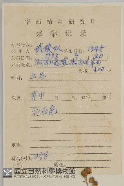 下田菊藏品圖，第2張