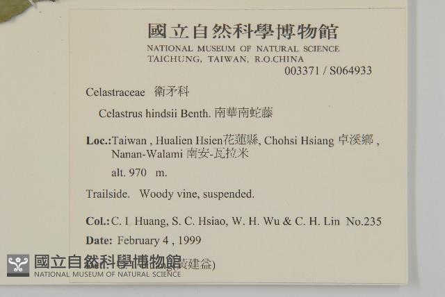 南華南蛇藤，青江藤藏品圖，第2張