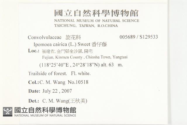 番仔藤藏品圖，第2張