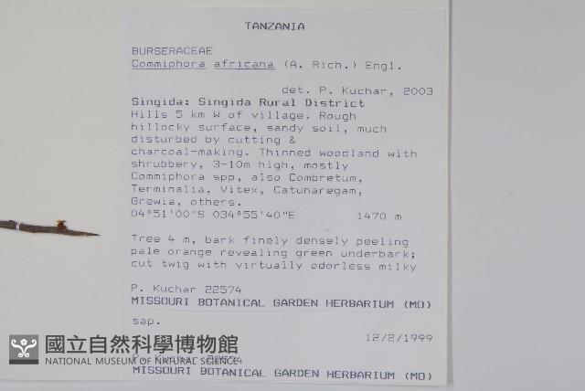 登錄號:S093663藏品圖，第2張