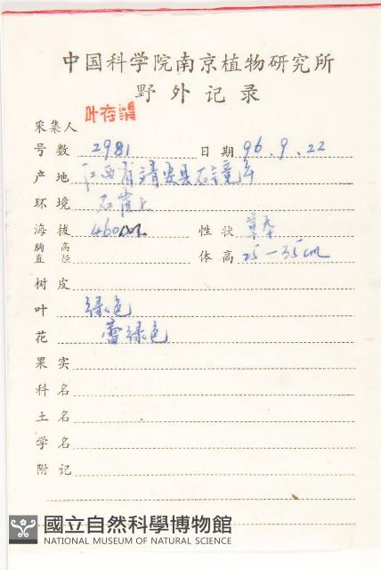 景天藏品圖，第2張