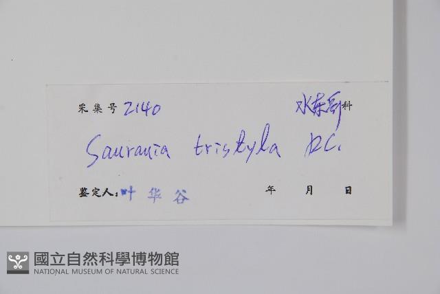 水東哥藏品圖，第2張