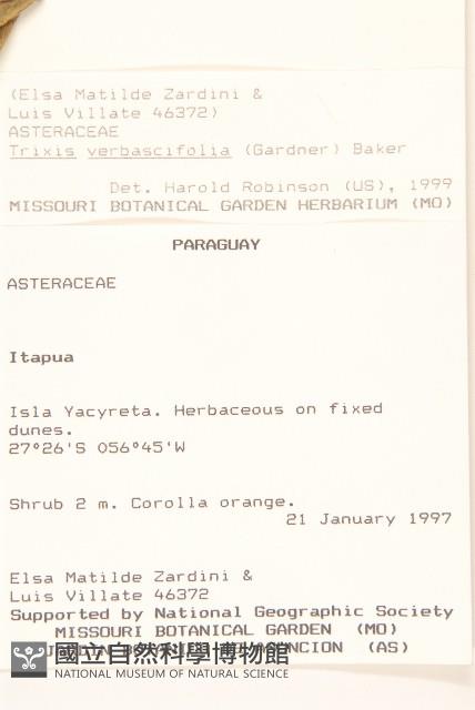 登錄號:S080763藏品圖，第2張