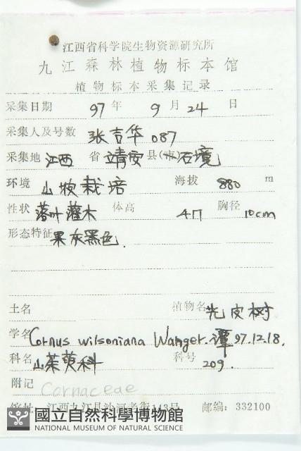 光皮樹藏品圖，第2張