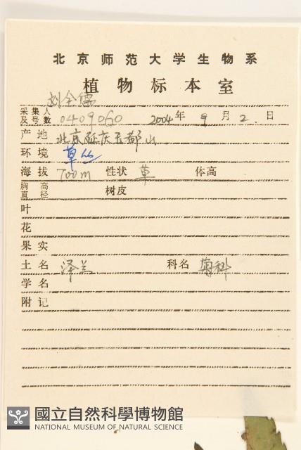 林氏澤蘭藏品圖，第2張