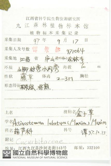 合子草藏品圖，第2張