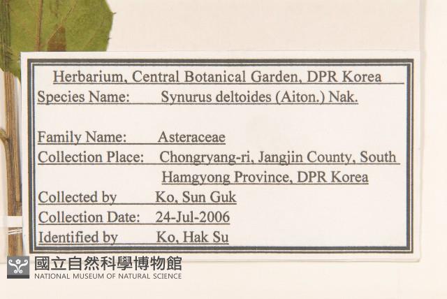 山牛旁藏品圖，第2張