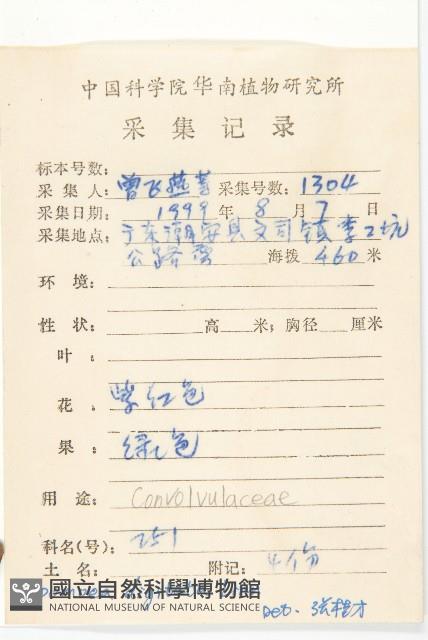 掌葉牽牛藏品圖，第2張