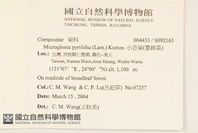 小舌菊、蔓綿菜藏品圖，第2張