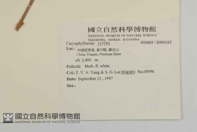 登錄號:S080163藏品圖，第2張