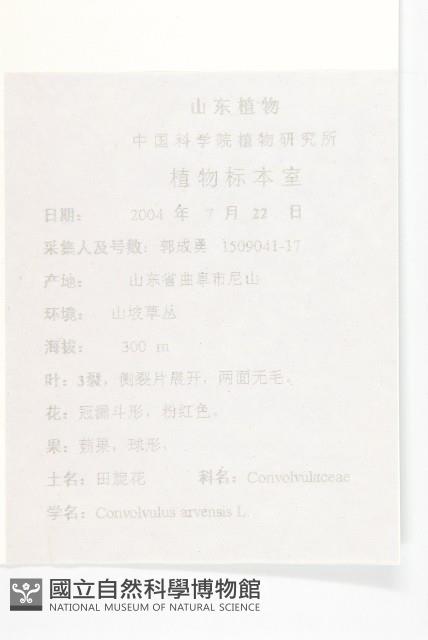 田旋花藏品圖，第2張