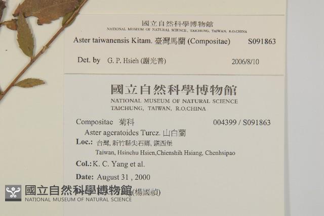 臺灣馬蘭藏品圖，第2張