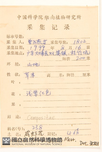 嶺南野菊藏品圖，第2張