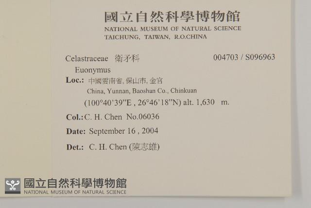 登錄號:S096963藏品圖，第2張