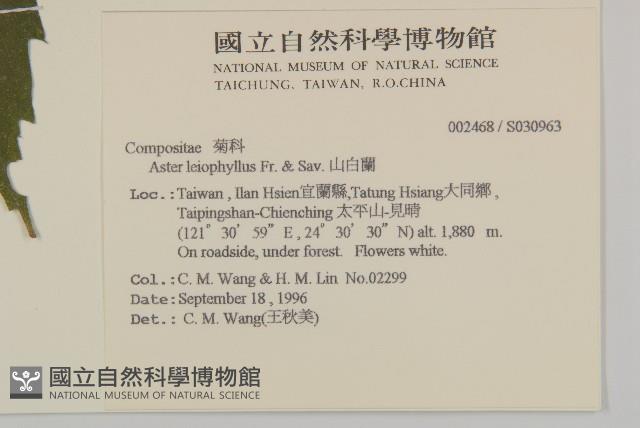 山白蘭藏品圖，第2張