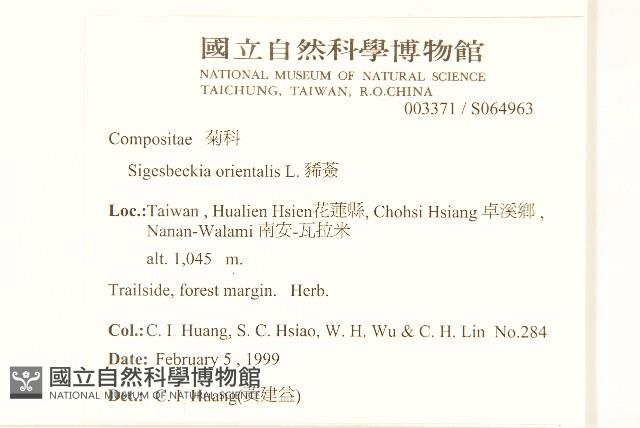 豨薟藏品圖，第2張