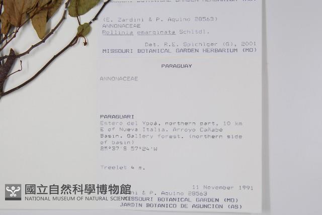 登錄號:S081643藏品圖，第2張