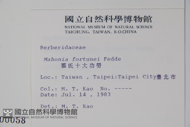 細葉十大功勞藏品圖，第2張