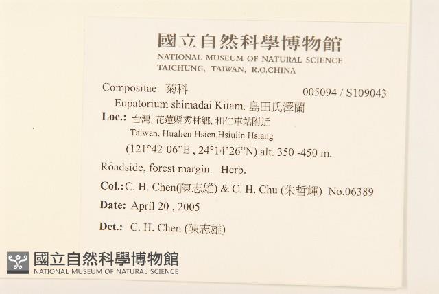 島田氏澤蘭藏品圖，第2張