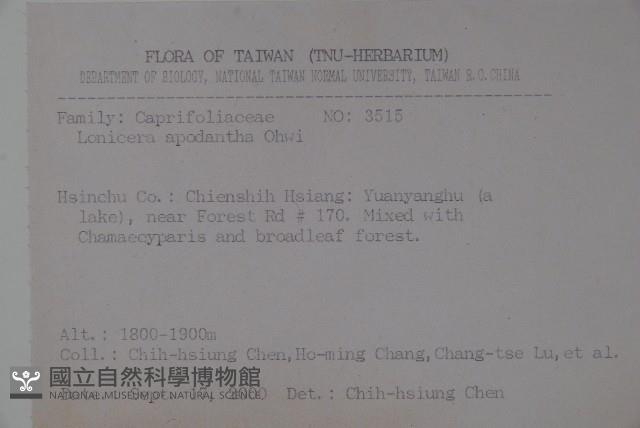 無梗忍冬藏品圖，第2張