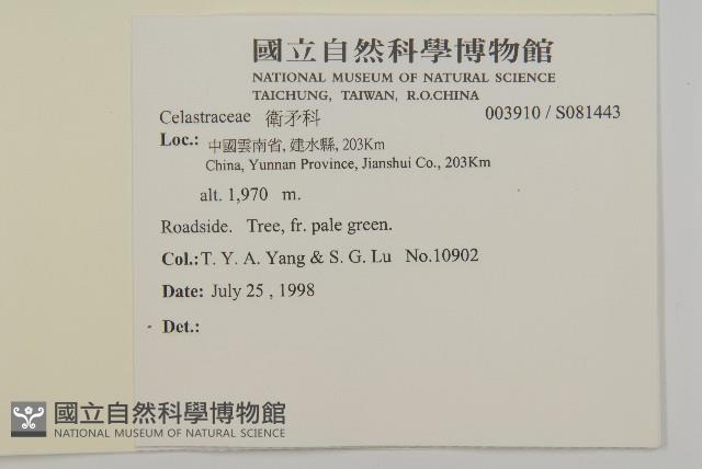 登錄號:S081443藏品圖，第2張