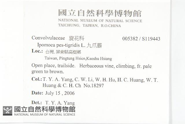 九爪藤藏品圖，第2張