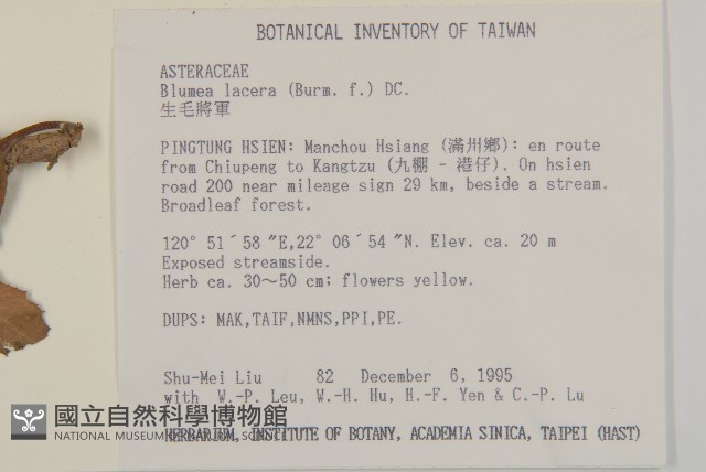 生毛將軍藏品圖，第2張