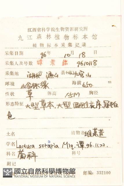 山萵苣藏品圖，第2張