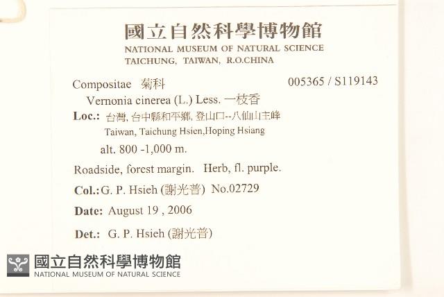 一枝香藏品圖，第2張