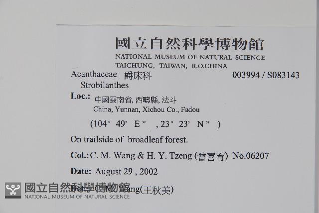 登錄號:S083143藏品圖，第2張