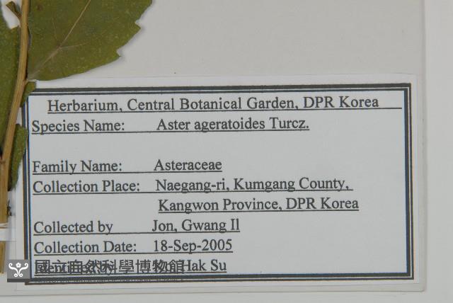 山白蘭藏品圖，第2張