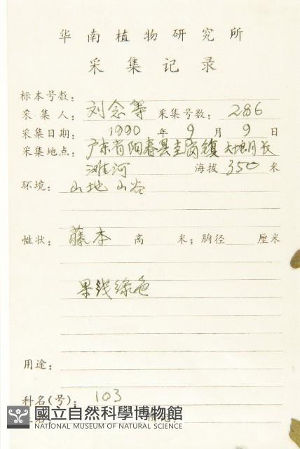 天花藏品圖，第2張